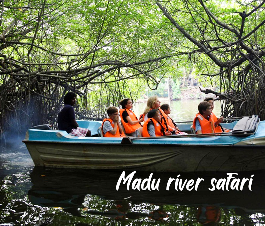 Madu-River-Safari