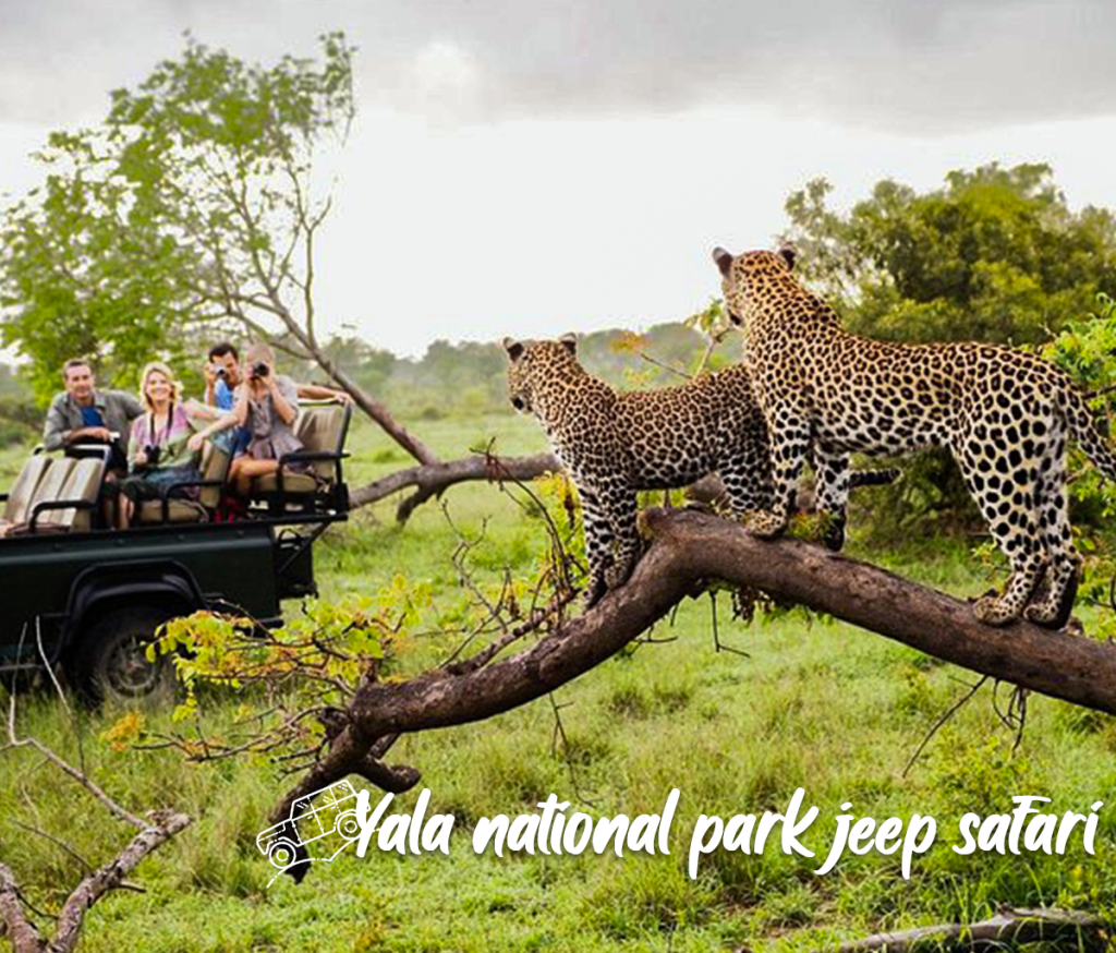 Safari-in-Yala-National-Park