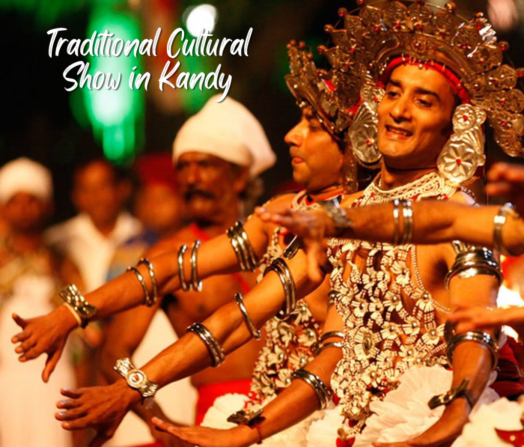 Traditional Cultural Show in Kandy